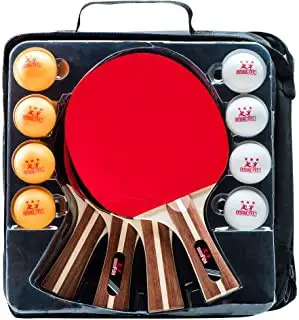 Integrafun ping pong paddle set