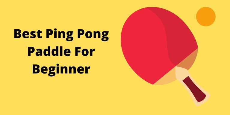 Best Ping Pong Paddle For Beginners