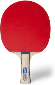 Joola Cobra Recreational Ping Pong Paddle