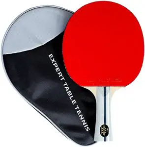 Best ping pong paddle for beginners