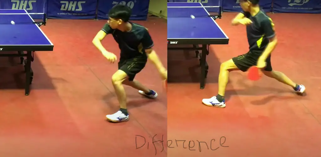 How to Take Proper Footwork in table tennis