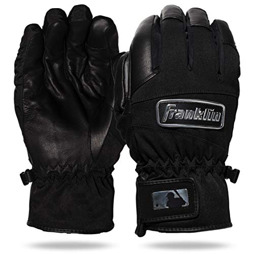 Best Baseball Glove for Coach