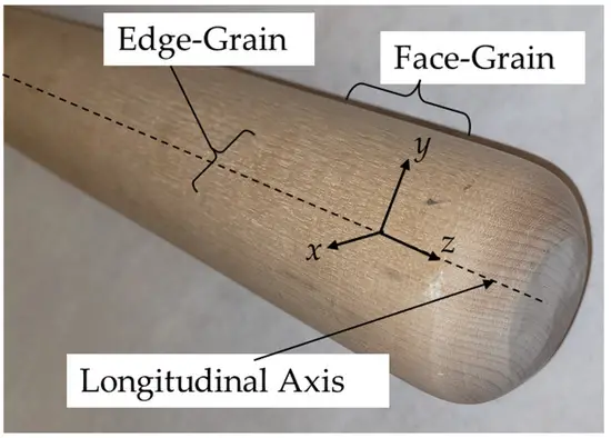 How is a Baseball Bat Oriented in Relation to Grain