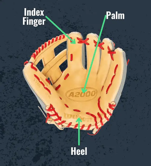 How to Tell the Size Needed for a Baseball Glove