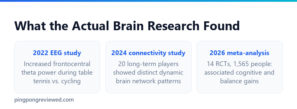 Real research findings on table tennis and the brain