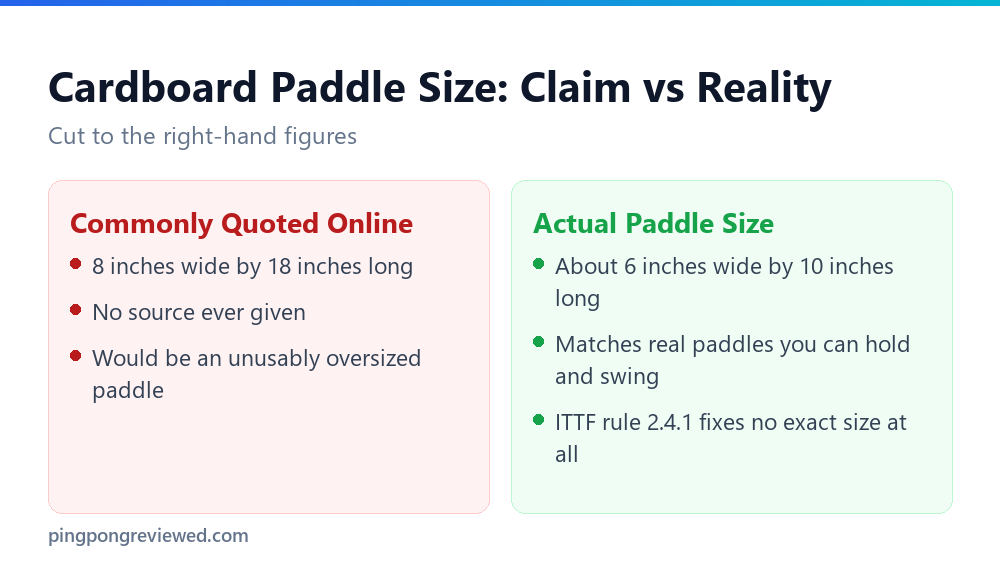 Commonly quoted cardboard paddle size compared with the real size