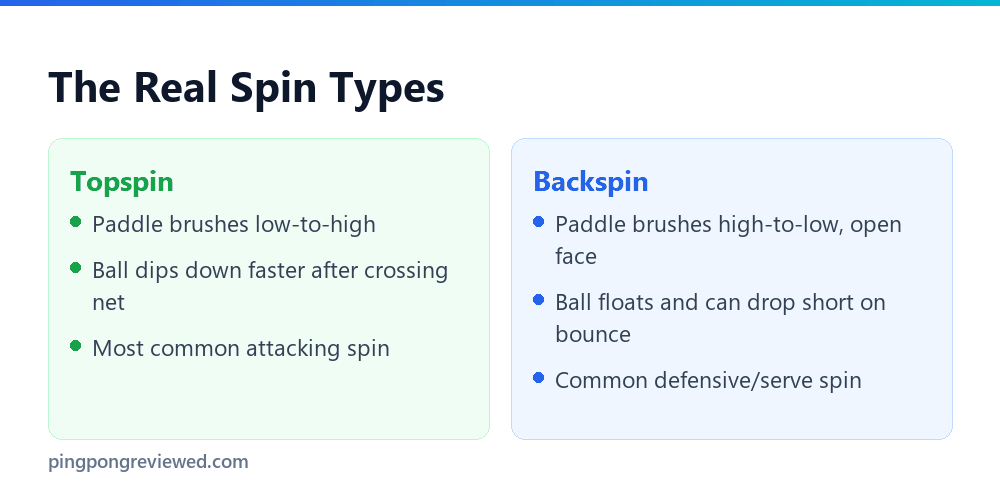 The real spin types in table tennis