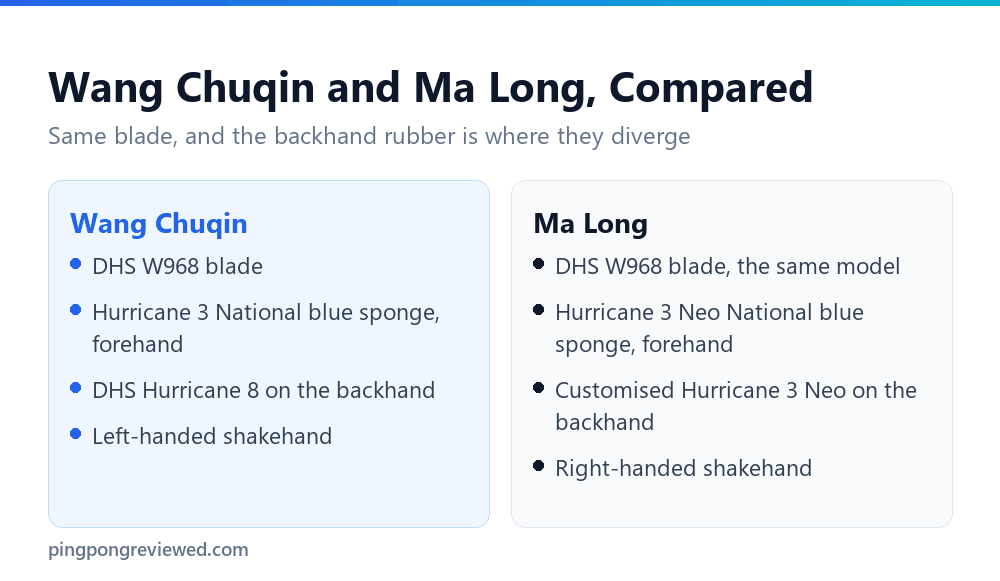 Wang Chuqin and Ma Long equipment compared