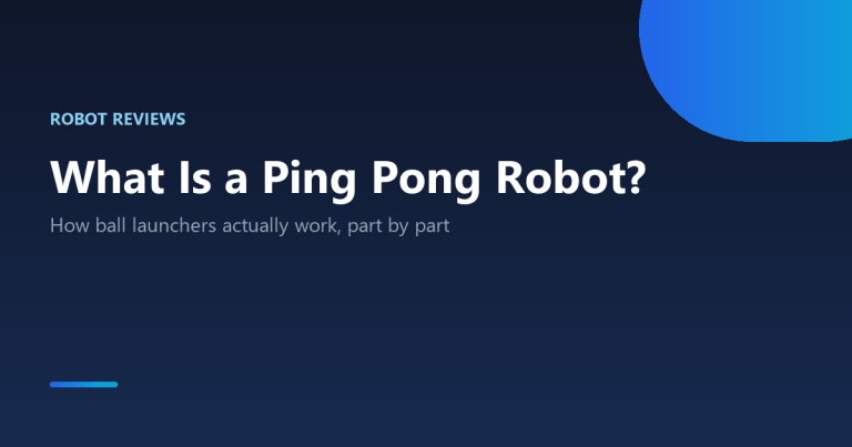 What is a ping pong robot