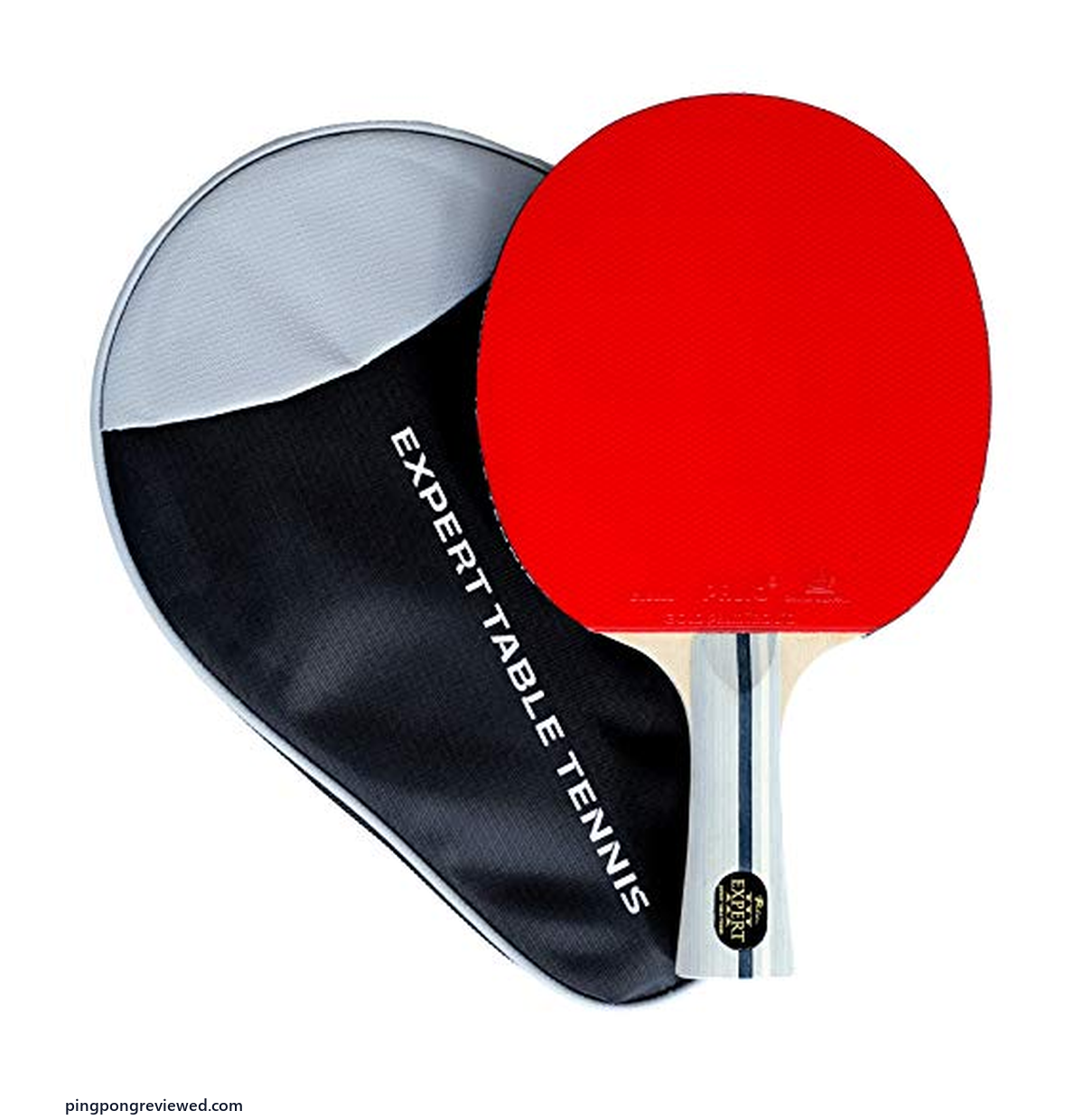 Palio Expert 3.0 table tennis paddle and case