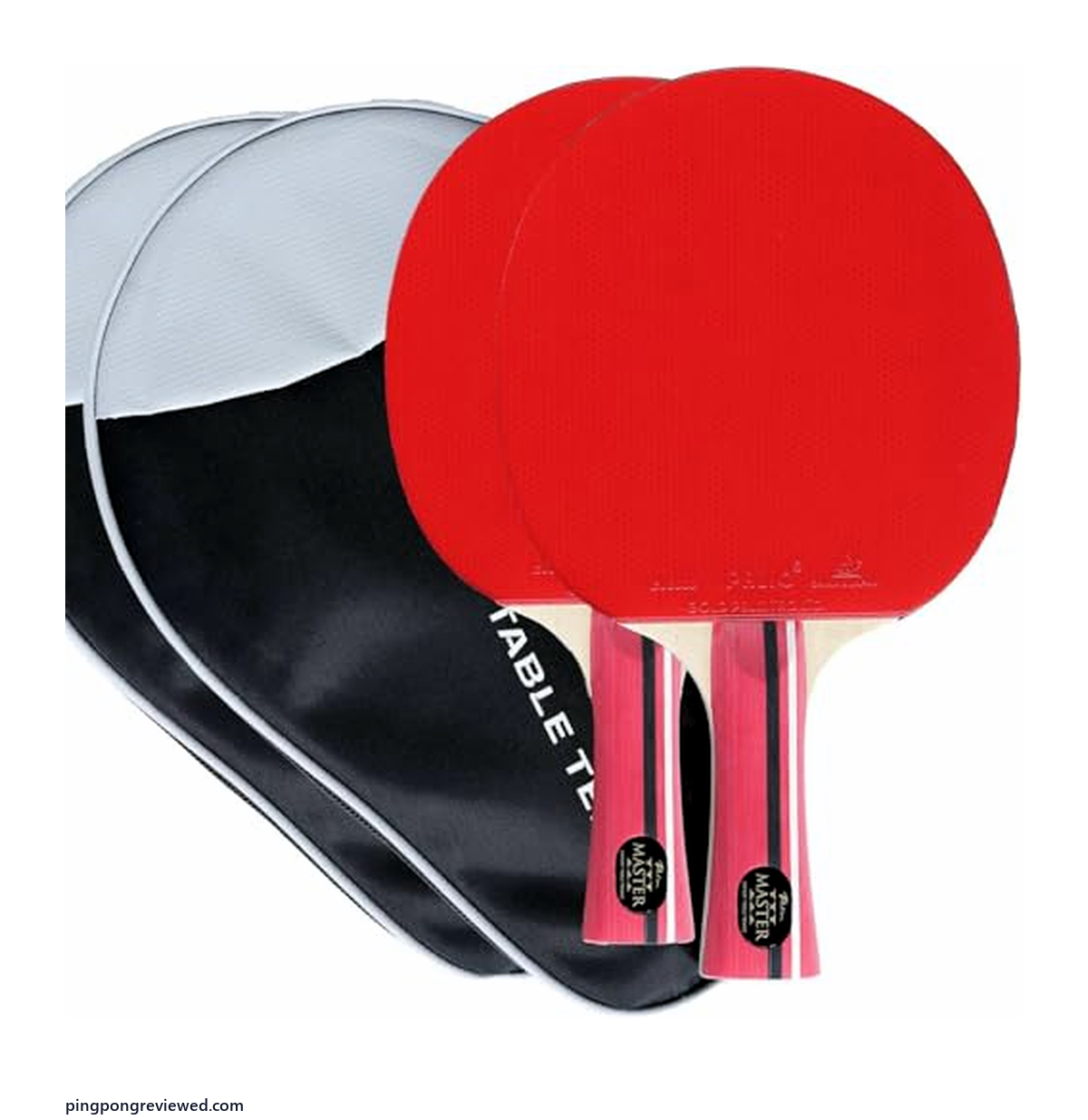 Palio Master 3.0 table tennis bat and case
