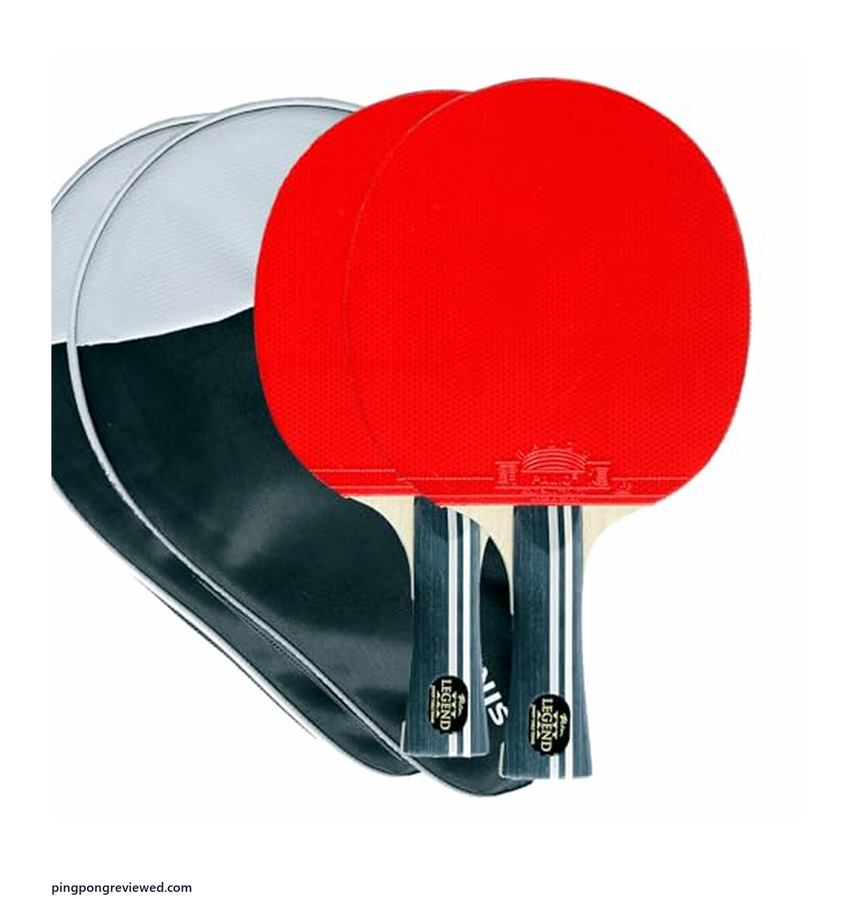 Palio Legend 3.0 table tennis racket and case
