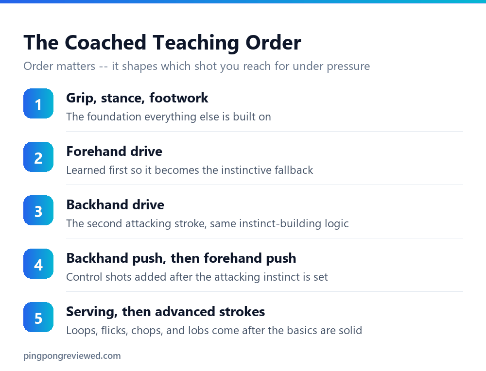 The coached order for learning table tennis strokes as a beginner