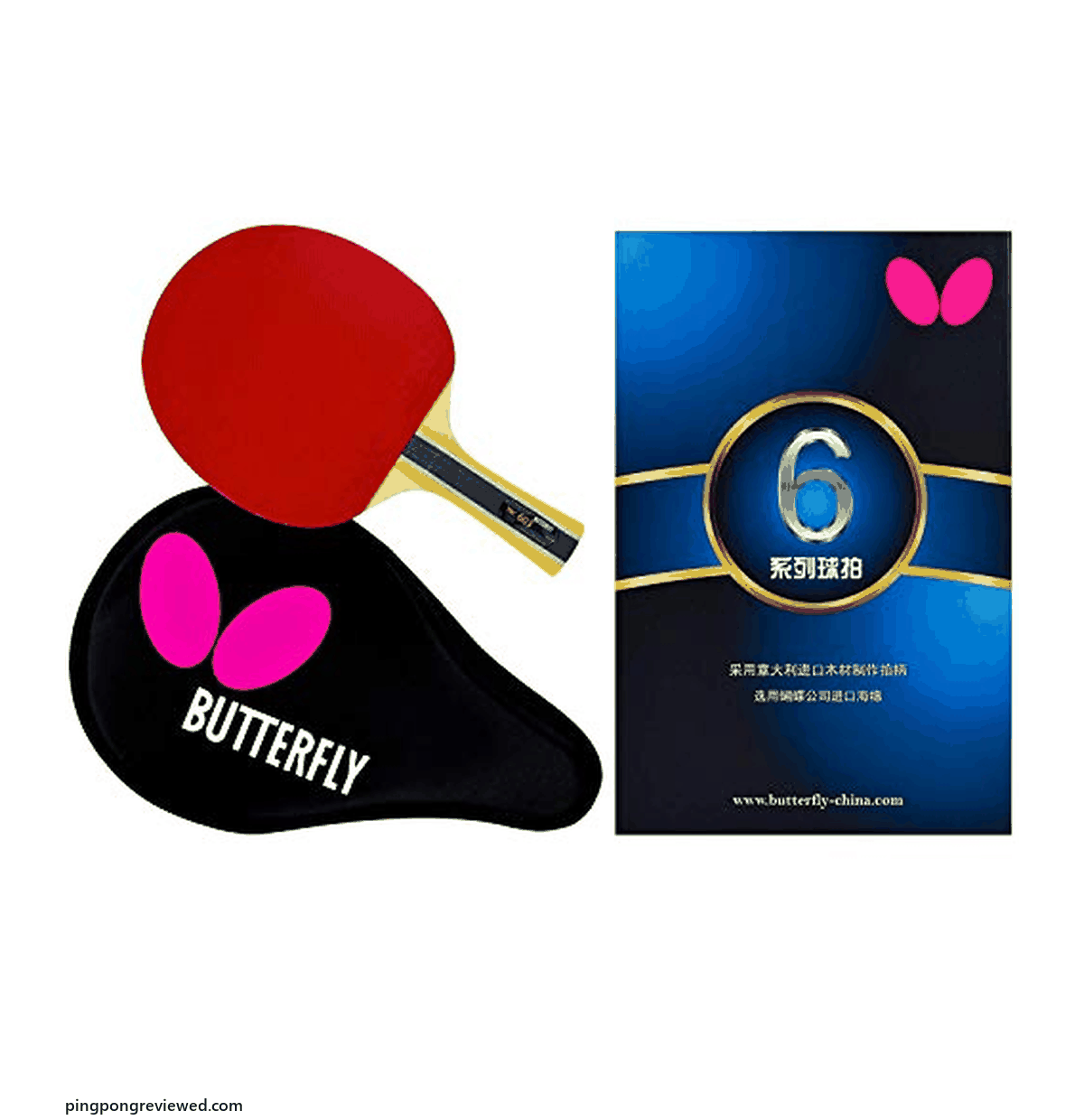 Butterfly B603FL table tennis racket set