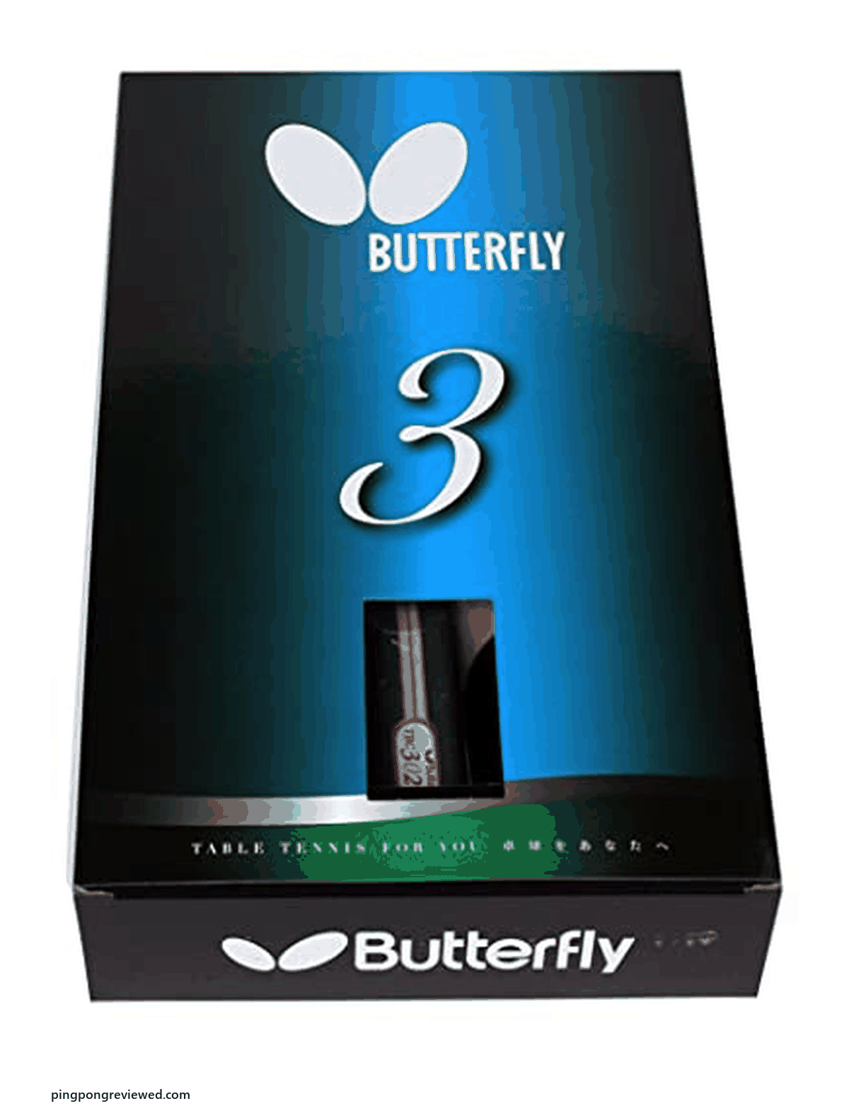 Butterfly Bty 302 FL table tennis racket set