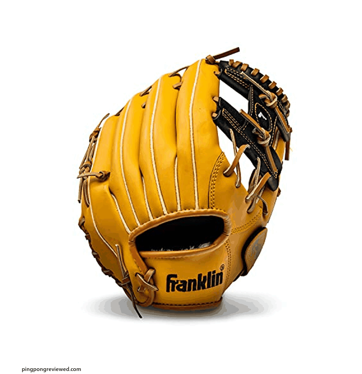 Franklin Sports Field Master 11 inch baseball glove