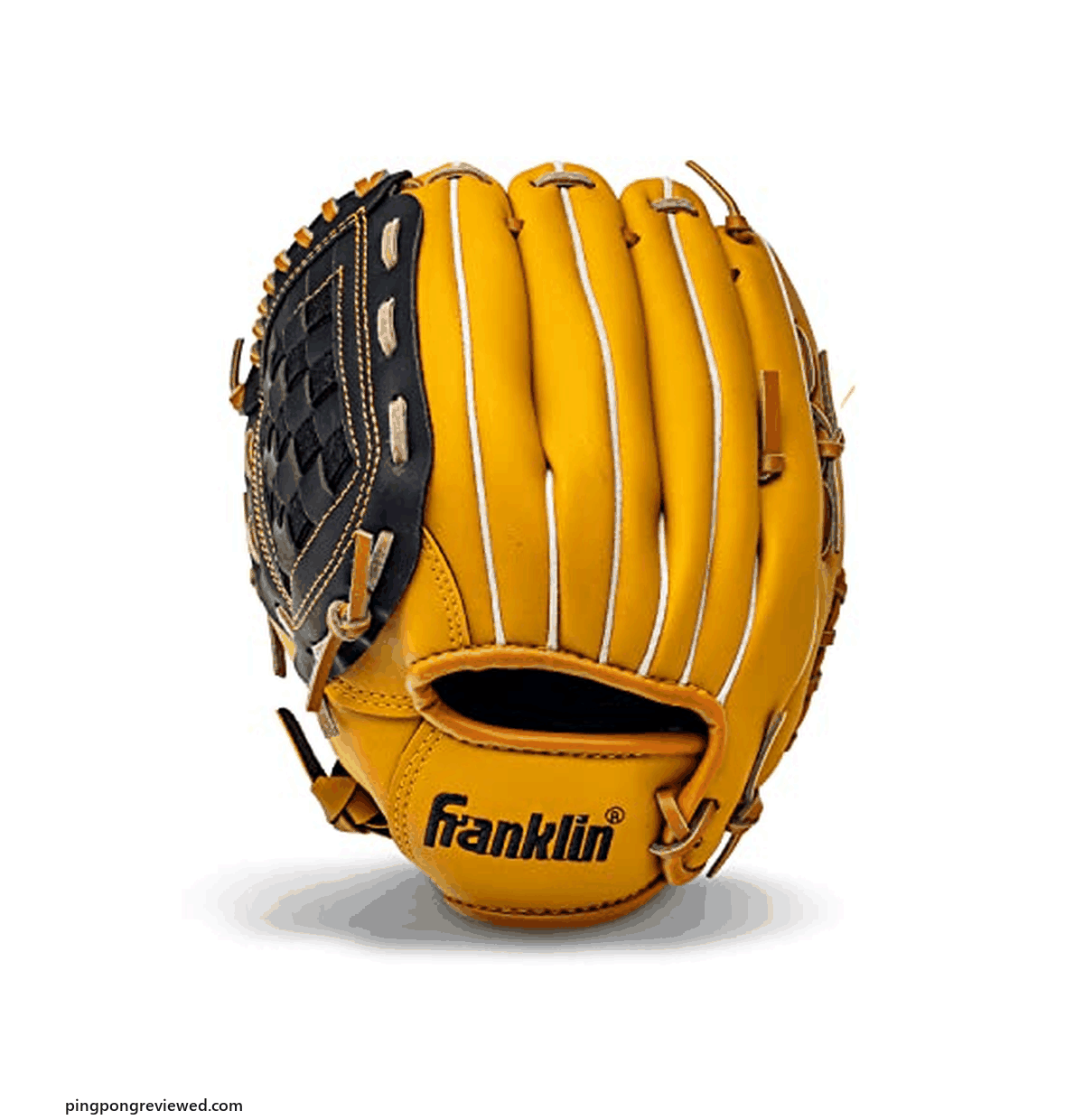 Franklin Sports Field Master 12 inch baseball glove