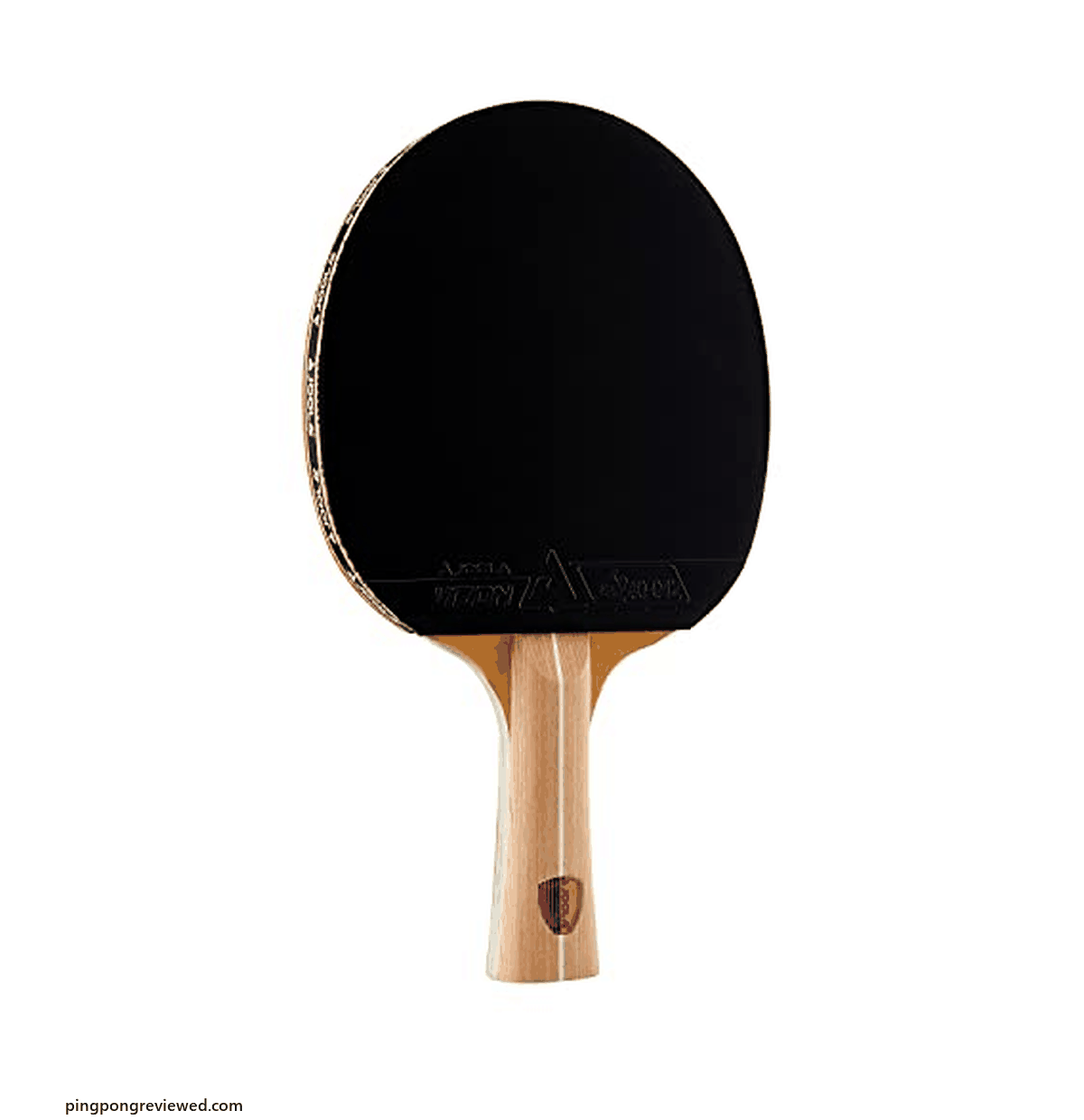 JOOLA Omega Control ping pong paddle
