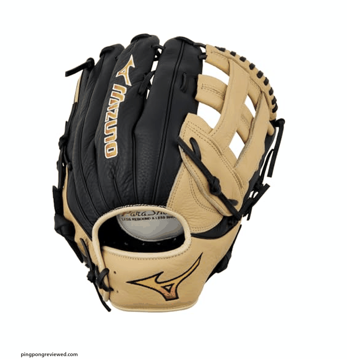 Mizuno Franchise 12.5 inch H web baseball glove