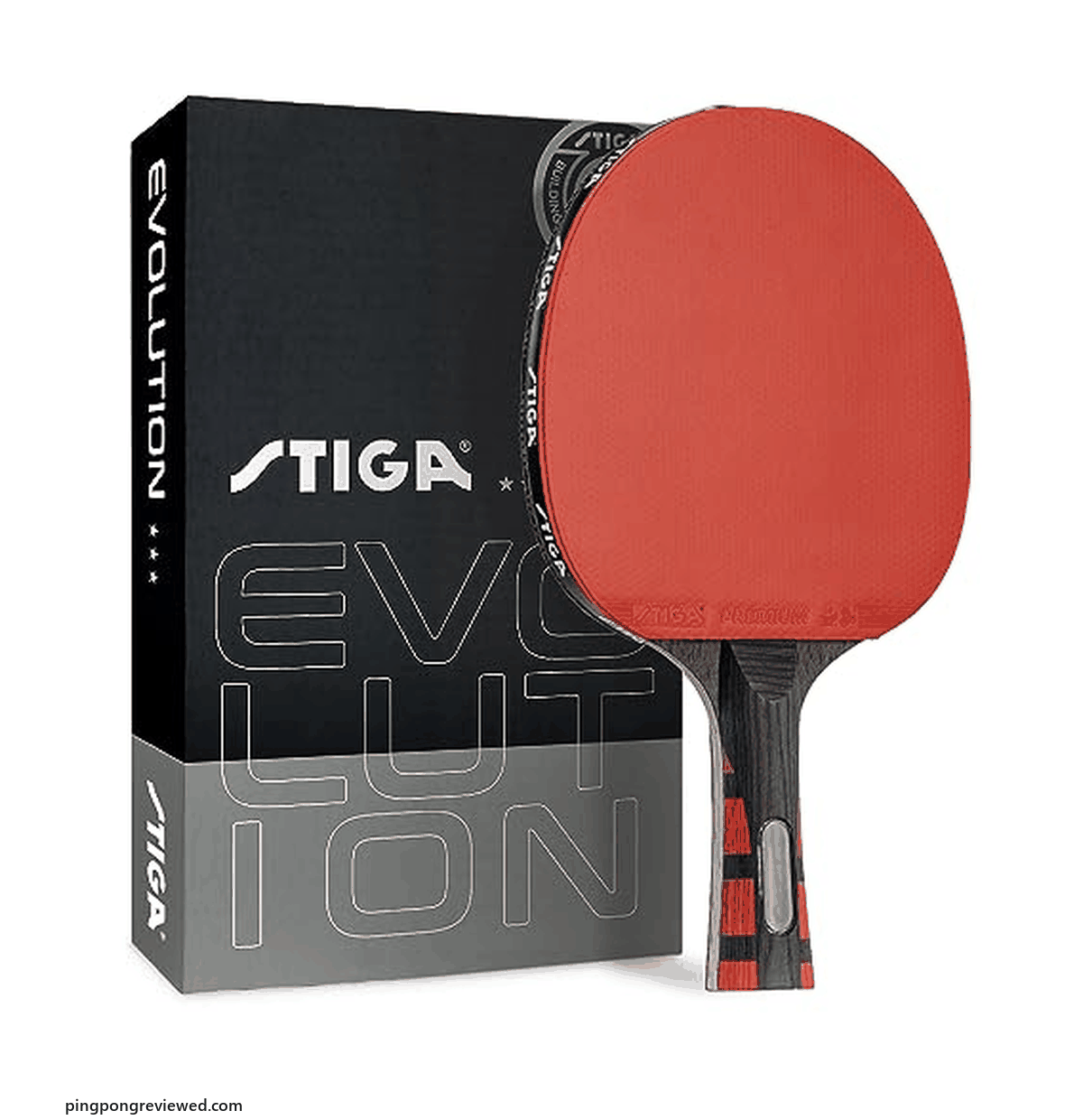 STIGA Evolution ping pong paddle